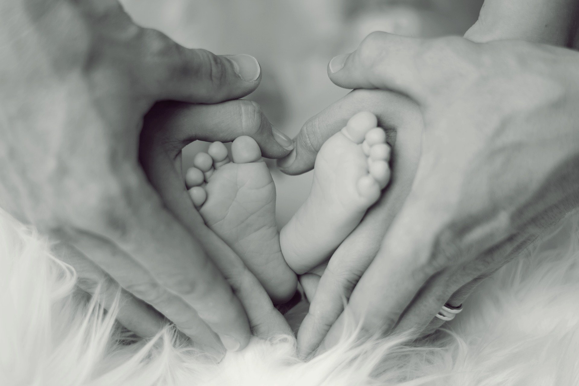 Hände von Erwachsenen umschließen die Füße eines Neugeborenen / Adult hands enclose the feet of a newborn baby